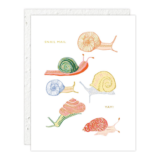 Snail Mail Card